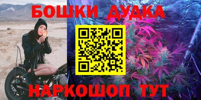 jwh Гатчина