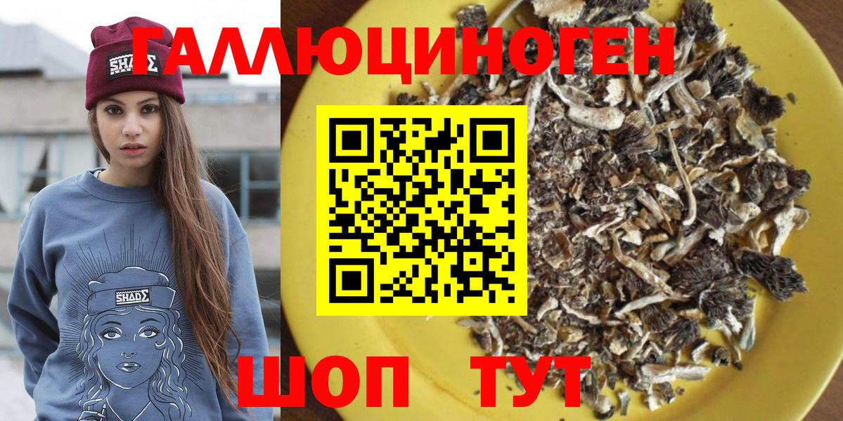 Галлюциногенные грибы Psilocybine cubensis  где продают   Тихвин  Псилоцибиновые грибы Magic Shrooms  Вход с VPN 