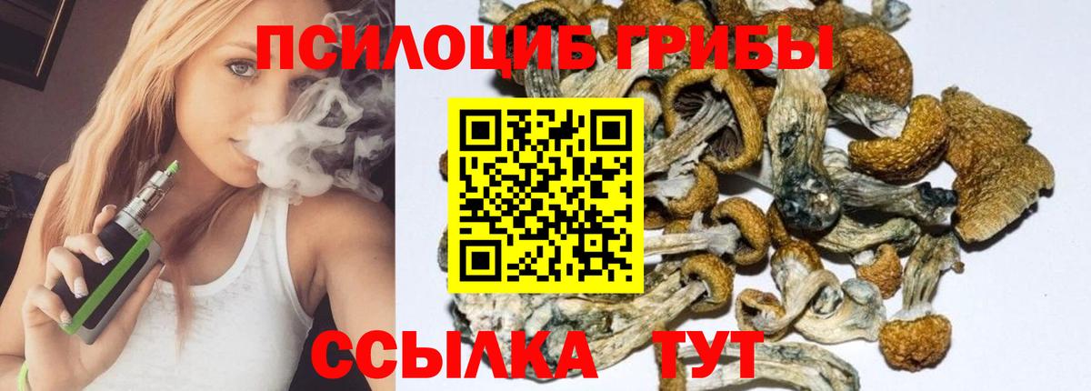 Галлюциногенные грибы ЛСД Тихвин